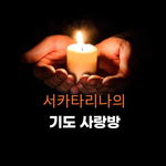 배너이미지